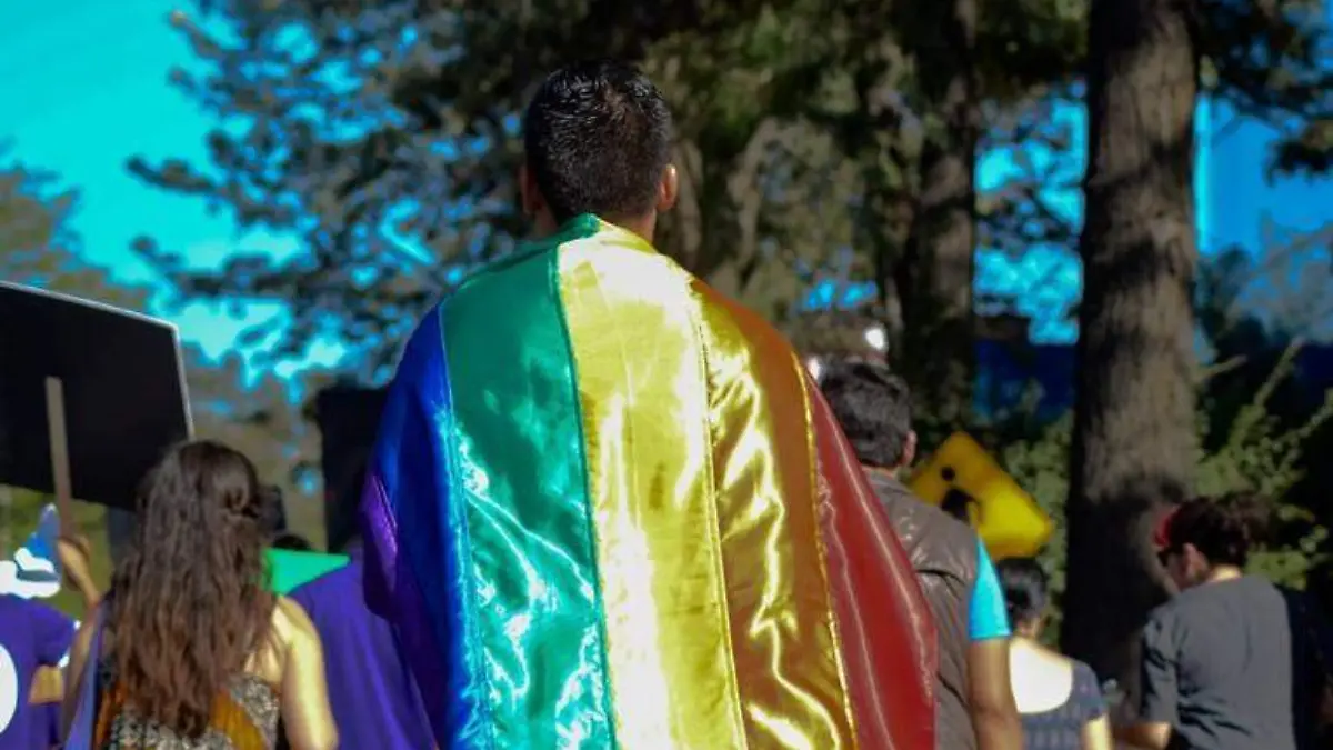 Matrimonio igualitario gay